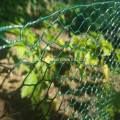 Small Hole Hexagonal Chicken Wire Mesh